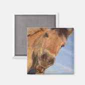 ノーサンバーランド,イングランド2 マグネット (正面/裏面)