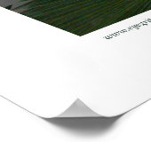 ノーサンプトンレインフォレストII ポスター (角)