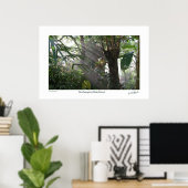 ノーサンプトンレインフォレストIII ポスター (ホームオフィス)