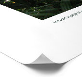 ノーサンプトンレインフォレストIII ポスター (角)