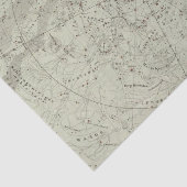 ノーサーの夜空の地図 薄葉紙 (詳細)