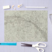 ノーサーの夜空の地図 薄葉紙 (クラフト)