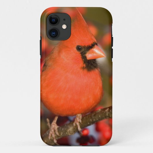 ノーザンカーディナルとアメリカヒイラギ Case-Mate iPhoneケース (裏面)