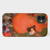 ノーザンカーディナルとアメリカヒイラギ Case-Mate iPhoneケース (裏面(横))