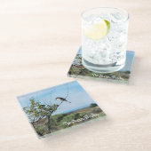 ノーザンシュライク ガラスコースター (アングル)