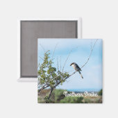 ノーザンシュライク マグネット (正面/裏面)