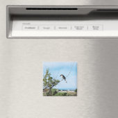 ノーザンシュライク マグネット (インサイチュ (食洗機))