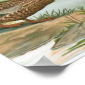 ノーザンショベルとノーザンピントルアヒル ポスター (角)