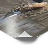 ノーザンショベル撮影プリント フォトプリント            (角)