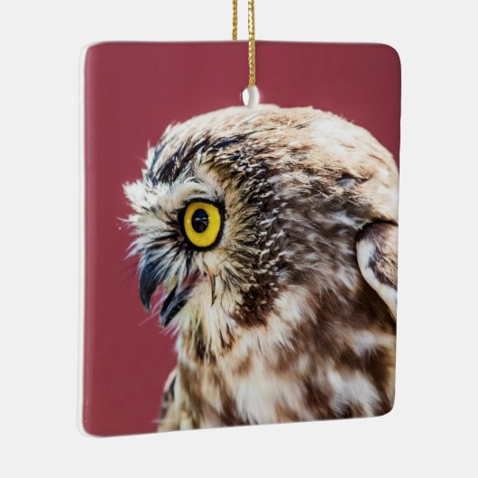 ノーザンソーホエフクロウポートレート セラミックオーナメント (右)