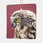 ノーザンソーホエフクロウポートレート セラミックオーナメント (左)