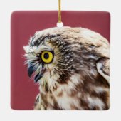 ノーザンソーホエフクロウポートレート セラミックオーナメント (裏面)