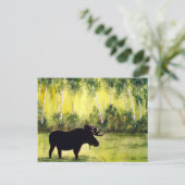 ノーザンダイアリー ポストカード (スタンド正面)