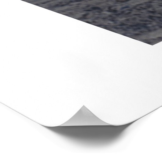 ノーザンダンサー ポスター (角)