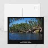 ノーザンテリトリー - ウィッスルダッククリーク ポストカード (正面/裏面)