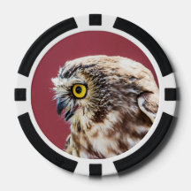 ノーザンノコギリフクロウポートレート