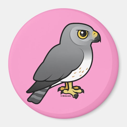 ノーザンハリアー男性 マグネット (正面)