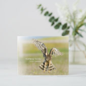 ノーザンハリアー ポストカード (スタンド正面)