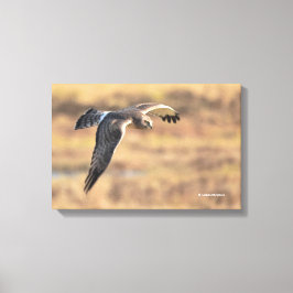 ノーザンハ素晴らしリアー湿原の狩りに キャンバスプリント