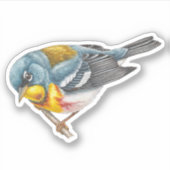 ノーザンパキュラウォーブラーステッカー シール (正面)