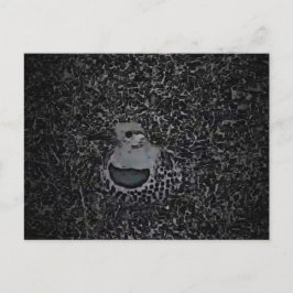 ノーザンフリッカウッドペッカーv1 – ヤードクリッター ポストカード