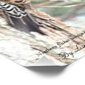 ノーザンフリッカーの木ペッカーカード フォトプリント            (角)