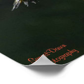 ノーザンフリッカーズのポスター ポスター (角)