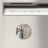 ノーザンフリッカー磁石。 マグネット (インサイチュ (食洗機))