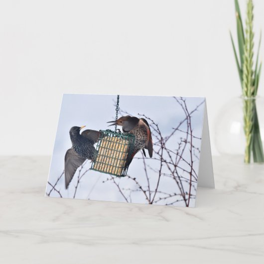 ノーザンフリッカー&スターリングの戦い! カード (正面)