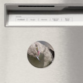 ノーザンモッキンバードがボウアパレル&ギフトを手に入れる マグネット (インサイチュ (食洗機))