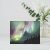 ノーザンライツスカイピースラブ冬の写真 ポストカード (スタンド正面)