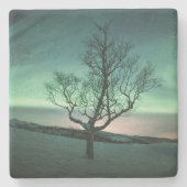 ノーザンライツストーンコースター ストーンコースター (正面)