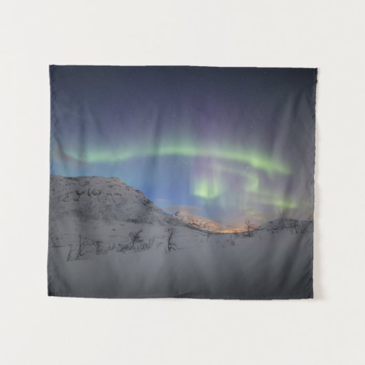 ノーザンライツノースノルウェー タペストリー (正面(横))