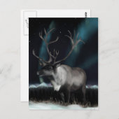 ノーザンライツポストカードのラインダー ポストカード (正面/裏面)