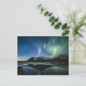 ノーザンライツロフォテン ポストカード (スタンド正面)