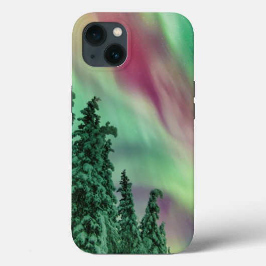 ノーザンライツ | アラスカ州グレンアレン冬景色 Case-Mate iPhoneケース (裏面)
