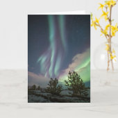 ノーザンライトツリー カード (黄色い花)