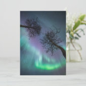 ノーザンライトツリー カード (スタンド正面)