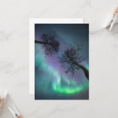 ノーザンライトツリー カード (正面/裏面インサイチュ)
