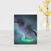 ノーザンライトツリー カード (黄色い花)