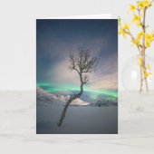 ノーザンライトツリー カード (黄色い花)