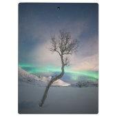 ノーザンライトツリー クリップボード (裏面)