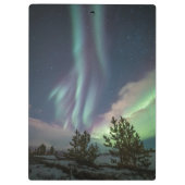 ノーザンライトツリー クリップボード (裏面)