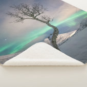 ノーザンライトツリー シェルパブランケット (3/4)