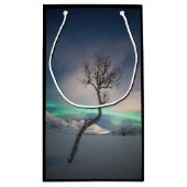 ノーザンライトツリー スモールペーパーバッグ (裏面)