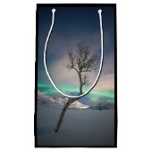 ノーザンライトツリー スモールペーパーバッグ (正面)