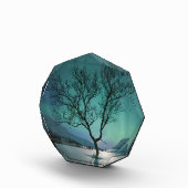 ノーザンライトツリー フォトブロック (右)