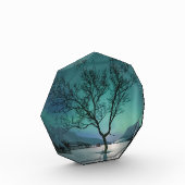 ノーザンライトツリー フォトブロック (左)