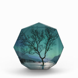 ノーザンライトツリー フォトブロック