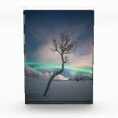 ノーザンライトツリー フォトブロック (正面)